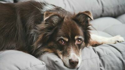 Zdjęcie ilustracyjne