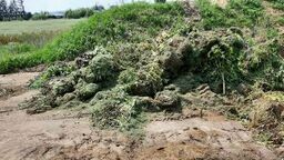 Lubelskie. Miasto zrobiło sobie wielki kompostownik, a posłanka pyta o pozwolenie