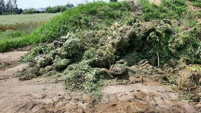 Lubelskie. Miasto zrobiło sobie wielki kompostownik, a posłanka pyta o pozwolenie