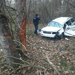 Wypadek w Olszance. Samochód uderzył w drzewo