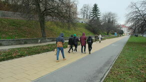 Aleja Tysiąclecia: część chodnika między jezdnią a zboczem wzgórza Zamkowego ma być rozebrana, a w jego miejscu zasadzony ma być szpaler drzew