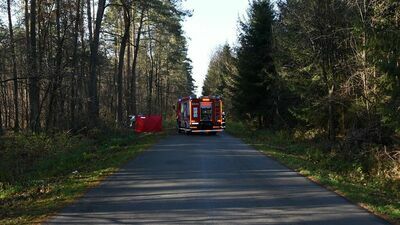 Tragedia koło Rejowca. Citroen rozbił się na drzewie