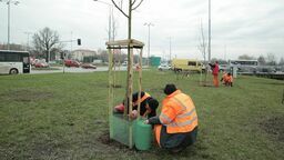 Zdjęcie ilustracyjne