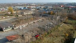 Firma dostała zgodę na wycinkę 38 dużych topól