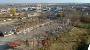 Firma dostała zgodę na wycinkę 38 dużych topól