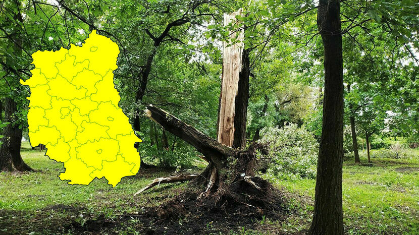 Prognoza niebezpiecznych zjawisk meteorologicznych obowiązuje dla wszystkich powiatów województwa lubelskiego