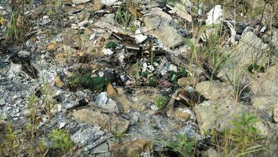 Nielegalny proceder trwał przynajmniej od 2015 roku. Prokuratura ustaliła, że mieszkańcy Baranówki i Wólki Rokickiej doskonale o tym wiedzieli. Problem znali również lokalni samorządowcy.