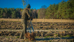 W leśnictwie Pańków powstał duży sad z myślą o zwierzętach