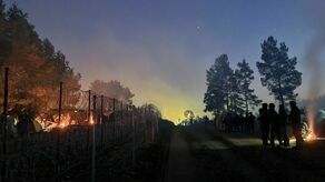 Jak zażegnać kryzys na granicy polsko-białoruskiej? "Sankcje są już na stole"