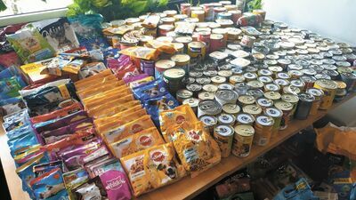 To 250 kilogramów karmy, którą puławianie zebrali w zeszłym roku. Przydała się każda puszka. Nowa edycja zbiórki właśnie się rozpoczyna