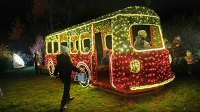Czysta magia w Ogrodzie Botanicznym UMCS. Idealne miejsce na selfie