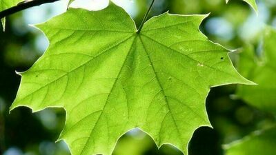 Zdjęcie ilustracyjne