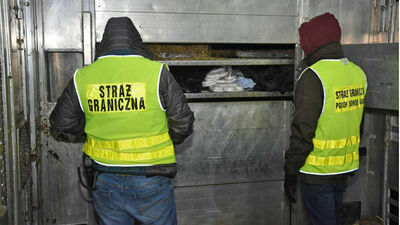 Ćwierć tony haszyszu ukryte w tirze. Rekordowy przemyt warty 12 mln zł
