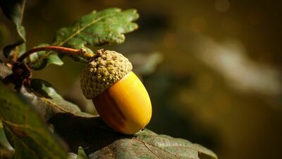 Zdjęcie ilustracyjne