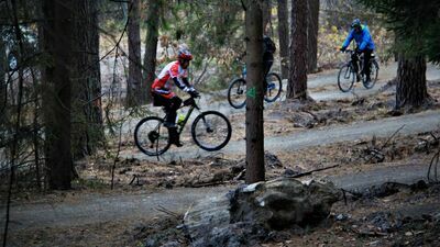 Nowa leśna trasa w Leśnictwie Kalina