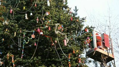 Ubieranie choinki na LSM 