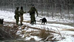 1,5 tys. prób nielegalnego przekroczenia granicy w grudniu. Straż Graniczna podała najnowsze dane