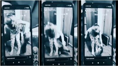 Namówiła kilkuletnią kuzynkę, by tłukła kotem o podłogę