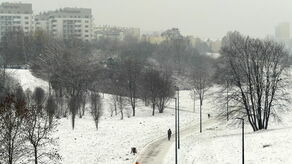 Plan zakładał powstanie m.in. trasy do biegania i ćwiczeń nordic walking, miejsca do grillowania czy toru treningowego dla psów.