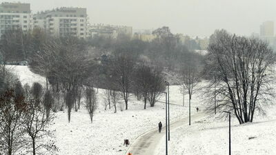 Plan zakładał powstanie m.in. trasy do biegania i ćwiczeń nordic walking, miejsca do grillowania czy toru treningowego dla psów.