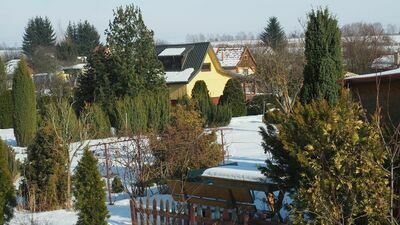 Działkowcy walczą o dotacje z miasta. Wnioski na ponad 2 miliony złotych