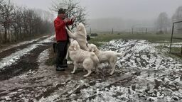 To już nasze miejsce na ziemi. Budowlaniec, który został rolnikiem