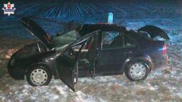 Samochód zderzył się z łosiem. Dwie osoby w szpitalu, zwierzę nie przeżyło