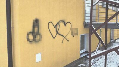 Penis i serca na elewacji świetlicy. Dotarli do nastolatki