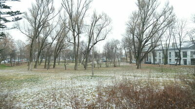 Koncepcja zakłada powstanie miejsc zabaw oraz rewitalizację zdroju. W planach jest także budowa sceny plenerowej od strony ul. Kalinowszczyzna