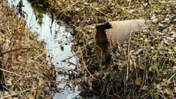 Zdjęcie ilustracyjne