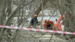 Lublin. Spora wycinka przy al. Kraśnickiej