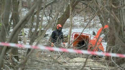 Lublin. Spora wycinka przy al. Kraśnickiej