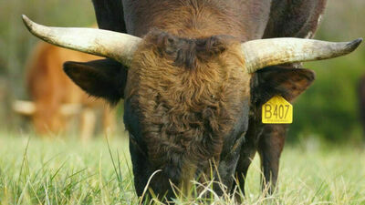 Zdjęcie ilustracyjne