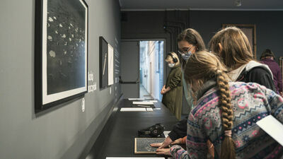 Startuje Galeria Dostępna w Labiryncie. To pierwszy taki projekt w Polsce