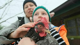 Antidotum na pandemię. I codziennie świeże jaja [zdjęcia]
