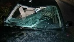 Tragedia na drodze pod Puławami. Dwie młode kobiety zginęły