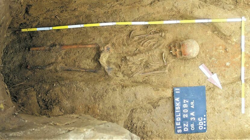 Odnaleziony na dawnym cmentarzu szkielet. Na nekropolię natknęli się pracownicy remontujący drogę w Fajsławicach<br />

