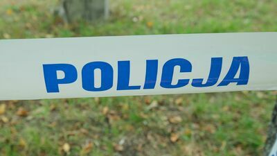 Byk zabił pracownika zakładów mięsnych