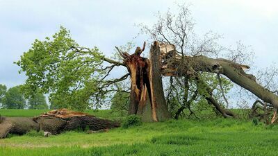 Z analiz danych z ostatnich 70 lat niekoniecznie wynika, że w Polsce pojawia się więcej zjawisk ekstremalnych: burz, tornad czy gradu.