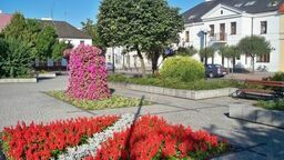 Spółka Zieleń dba o tereny zielone w mieście. Na to zadanie w 2021 roku spółka otrzymała 1,6 mln zł