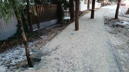 Lubelskie. "Absurd" i "partactwo". Drzewa zabetonowane w chodniku