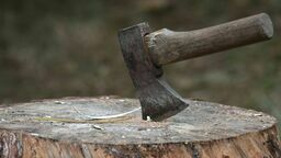 Zdjęcie ilustracyjne