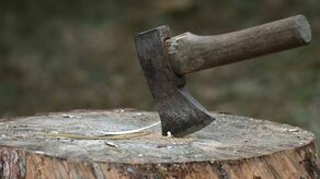 Zdjęcie ilustracyjne