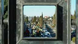 Znacząco wyższe opłaty na cmentarzu. "Wzrost jest na poziomie 20-30 proc."