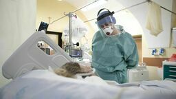 Zdjęcie ilustracyjne