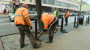 Mniej bruku na Krakowskim Przedmieściu. Po co ta zmiana?