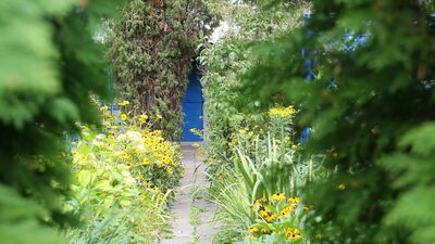 Gwałty na ogródkach działkowych w Lublinie