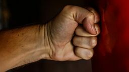 Damski bokser spod Zamościa trafił za kratki