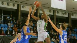 W niedzielę do Lublina przyjedzie rywal, z którym „Pszczółki” spotkały się w tym sezonie już trzykrotnie – PolskaStrefaInwestycji Enea Gorzów Wielkopolski.