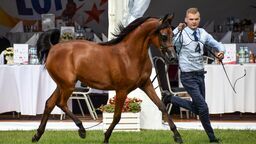 Jeden z trenerów który złożył wypowiedzenie to Mateusz Tokarski. Ale na razie nie chce wypowiadać się na ten temat